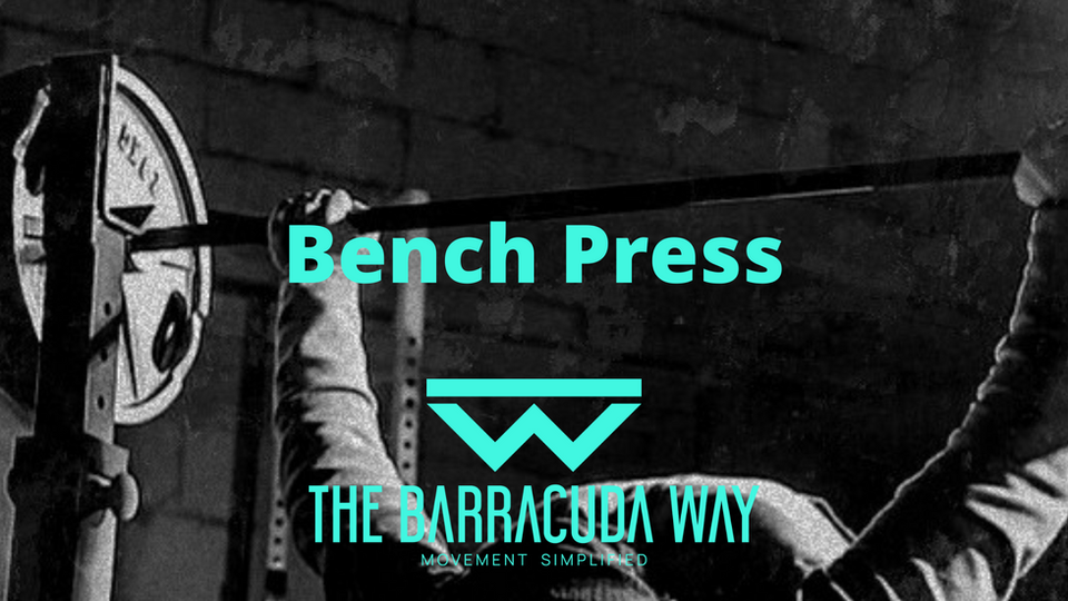 Bench Press - WES Scale
